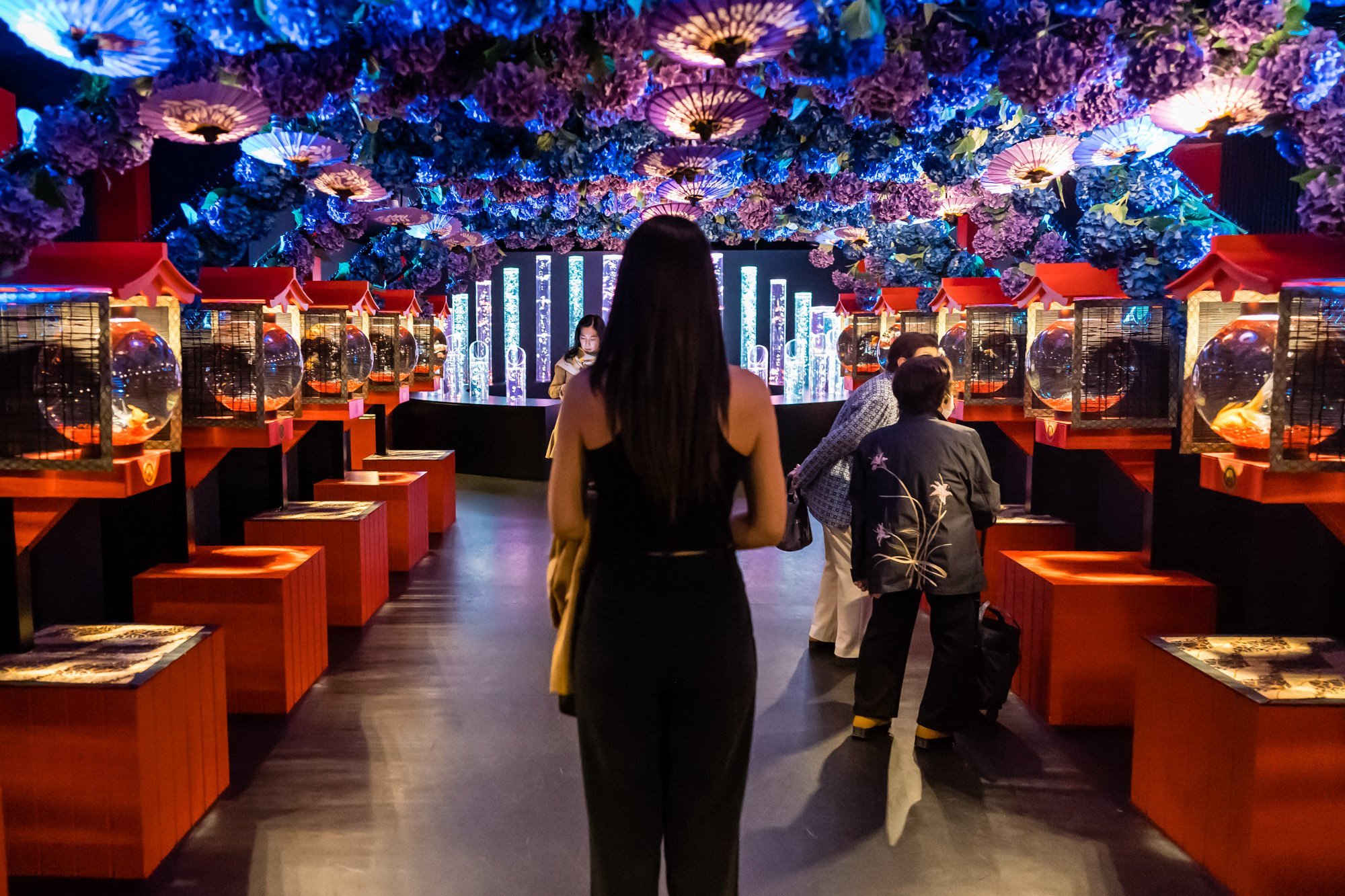 🐠 아트 아쿠아리움 미술관 GINZA (아토 아쿠아리우무 비주쓰칸 긴자) 이미지 6